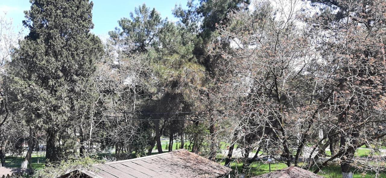 Гостиница "Курорт" بيزوندا المظهر الخارجي الصورة